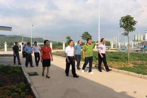 2020网红吃瓜大总结,盘点年度热门事件与话题  第2张